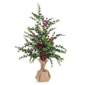 Eucalyptus & berries tree