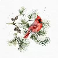Lunch Napkin - Cardinal Bird on Fir Branch