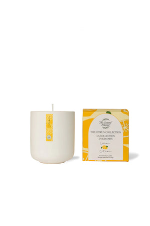 TSM - Citrus Lemon Soy Candle