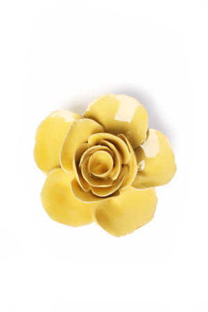 Chive - Buttercup Yellow Ranunculus Wall Flower