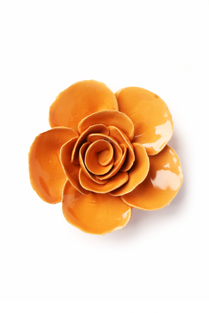 Chive - Orange Elegance Ranunculus wall Flower