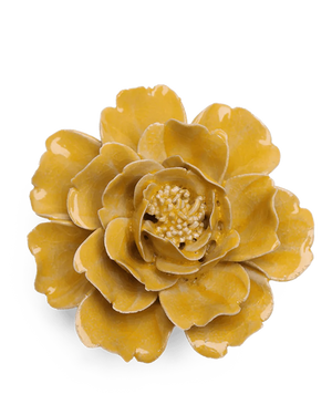 Chive - Burnt  Yellow Rose Wall Flower