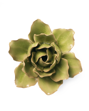 Chive - Peridot Stargazer Lily Wall Flower