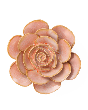 Chive - Peach Pink Cloni Ranunculus