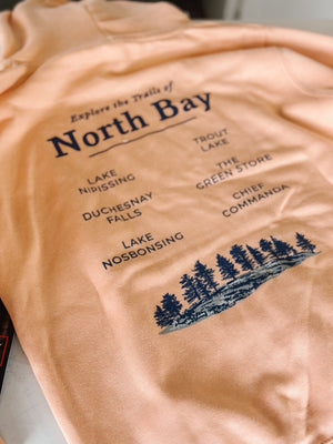 North Bay Landmark Hoodie - Peach