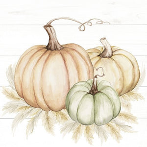 Lunch Napkin - Pumpkin Trio