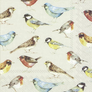 Lunch Napkin - the birds