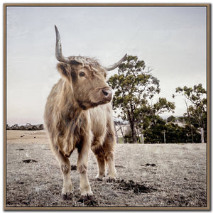 Countryside Highland 30x30