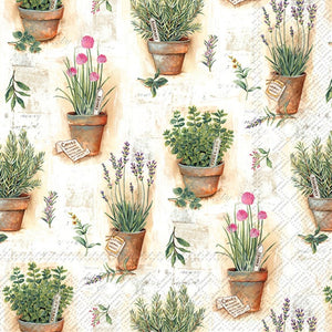 Cocktail Napkins - Herbs in pots