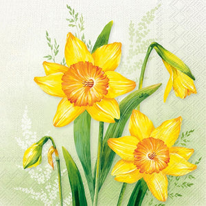 Lunch Napkin - Narzissa