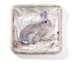 Bunny Cushion