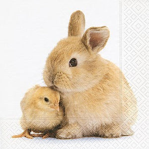 Napkin Lunch - Bunny & Chick