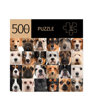 Assorted Puzzles