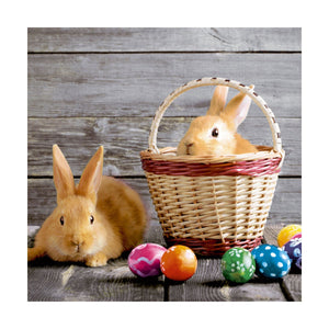 Lunch Napkin - Two Bunnies