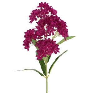 Pink Azalea Flower Branch